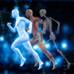 Glucosamine for joints