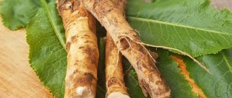 horseradish for arthritis and arthrosis