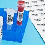 blood and swabs for chlamydia