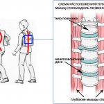 ЛФК очень важна для детей, так как укрепляет глубокие мышцы спины, а это профилактика искривления позвоночника