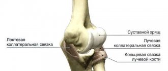 elbow joint1.jpg