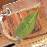Bay leaf decoction is one of the alternative treatment options