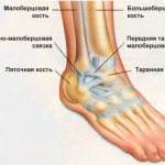 Ankle structure